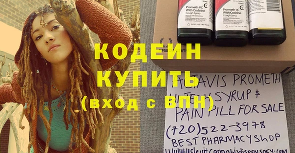 таблы Гусев