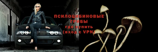 таблы Гусев