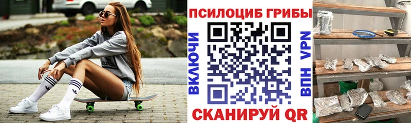 где купить наркоту  Краснослободск  Псилоцибиновые грибы Cubensis 